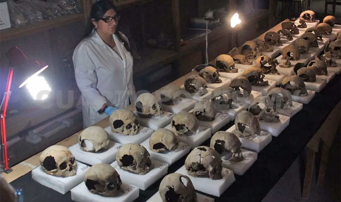 Vestigios encontrados por las excavaciones en el templo de Ehécatl y el tzompantli. Cortesía