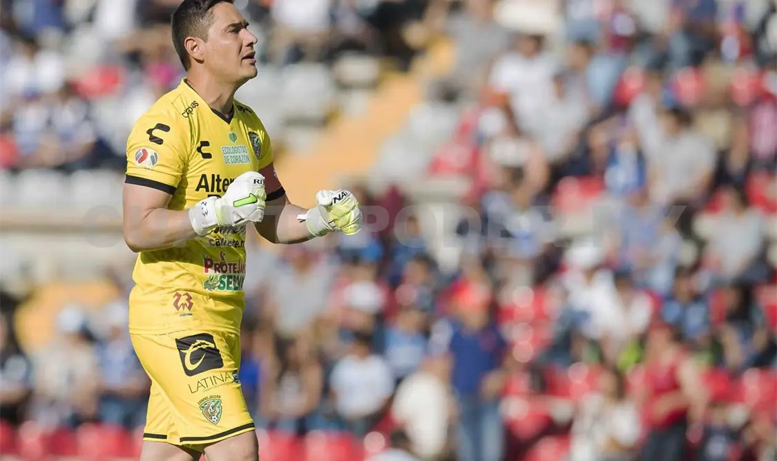 16 ex felinos con equipo, el resto a la espera