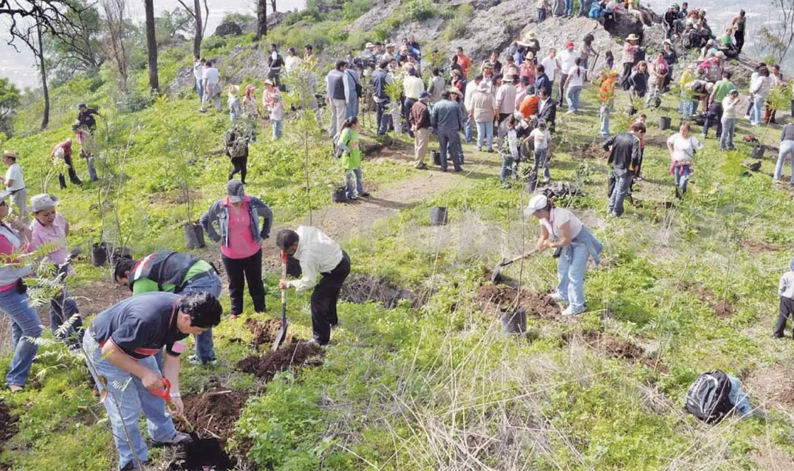 Ciudadanos realizan limpieza y reforestación