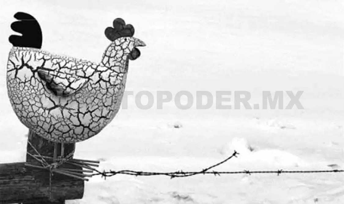 Perdida en las nubes (2016), de Olin Heintmann. Cortesía