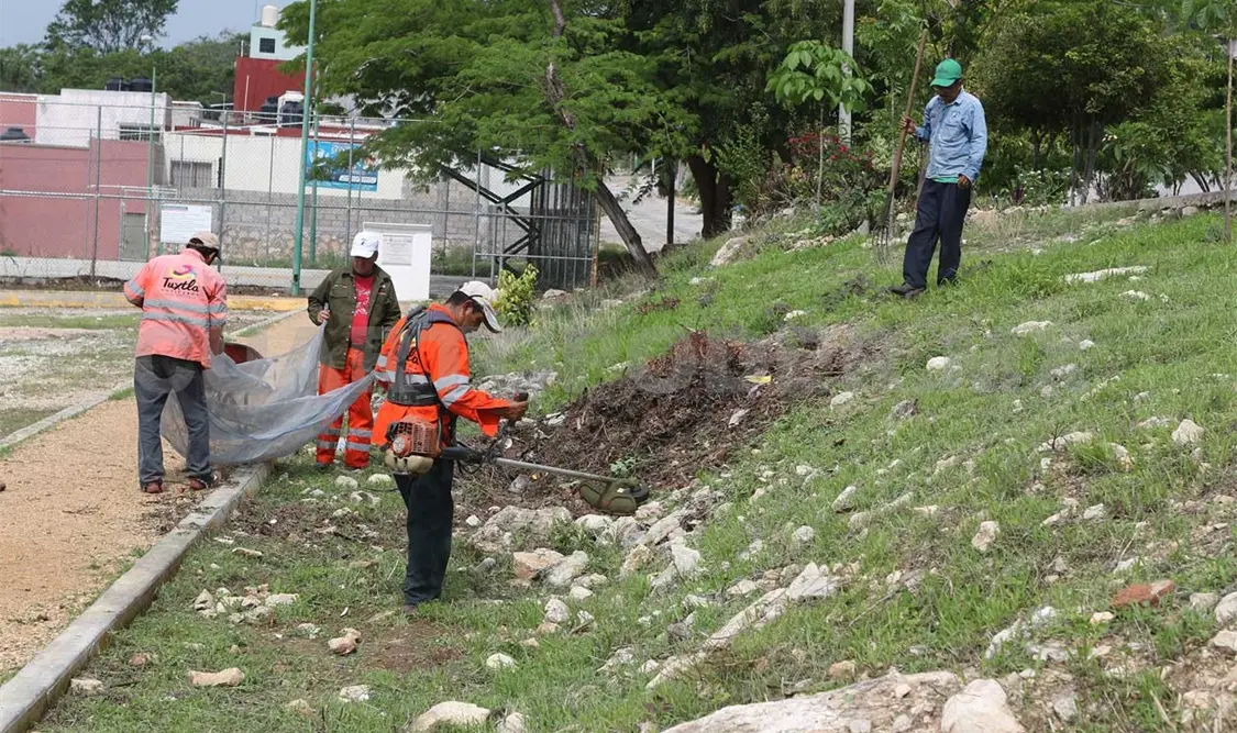 Activan brigadas de limpieza por lluvias