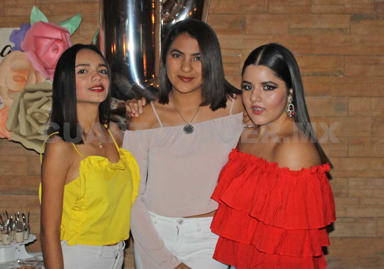 XV años de Amelia
