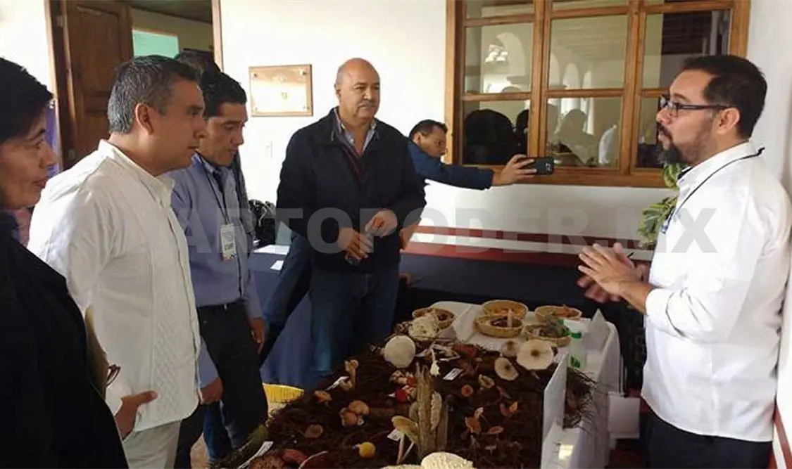 Autoridades de la Secretaría de Salud e investigadores analizan hongos silvestres