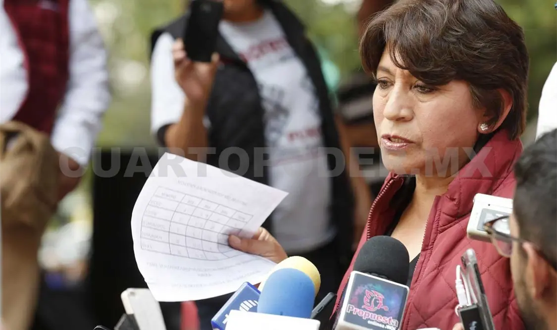 Tribunal Electoral multa a Morena y a Delfina