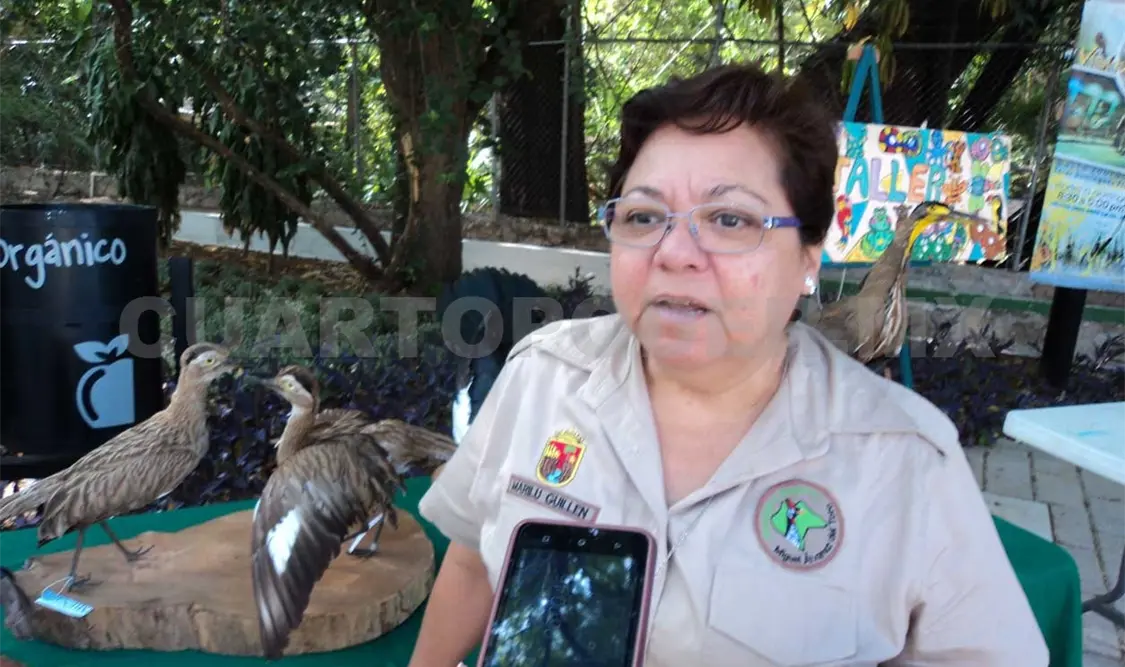 Muestran especies actuales y prehistóricas