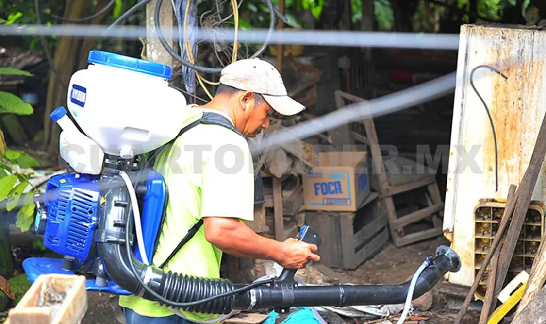 Chiapas, primer lugar nacional en casos de dengue