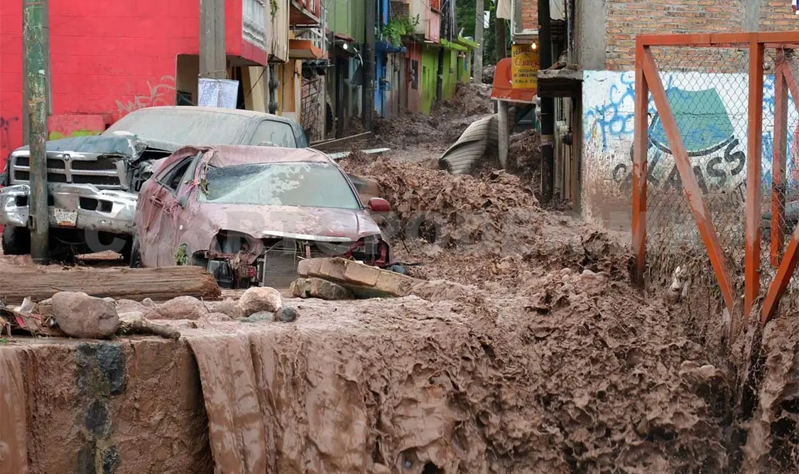 Autoprotección, clave para salvar la vida ante desastres