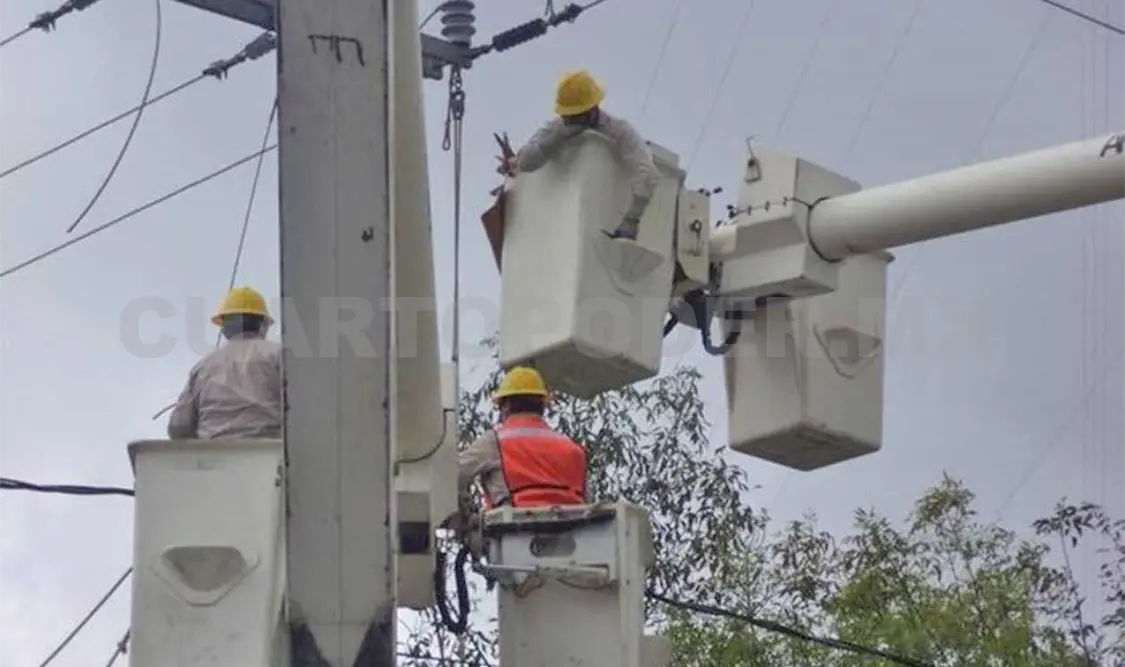 Absorberá gobierno deudas de Electricidad