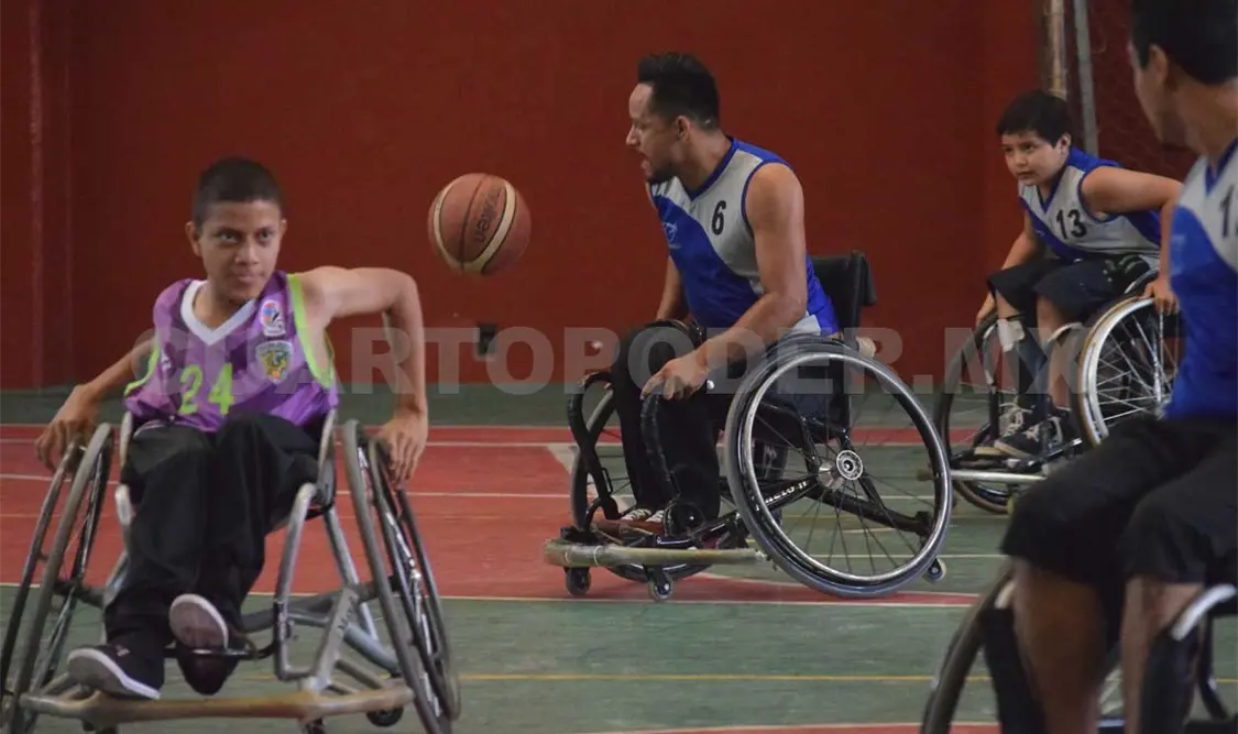 Pantheras y Pumas, por el campeonato de liga