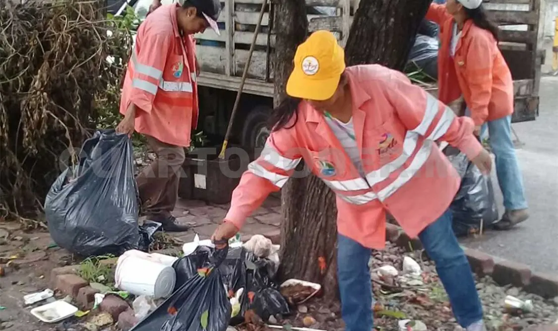 Brigadas recolectando pet y basura. Ricardo López /CP