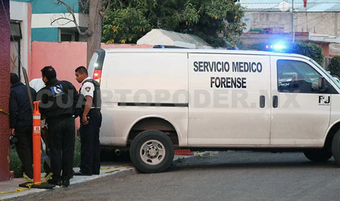 Forenses de Argentina realizarán peritaje en el estado de Chiapas