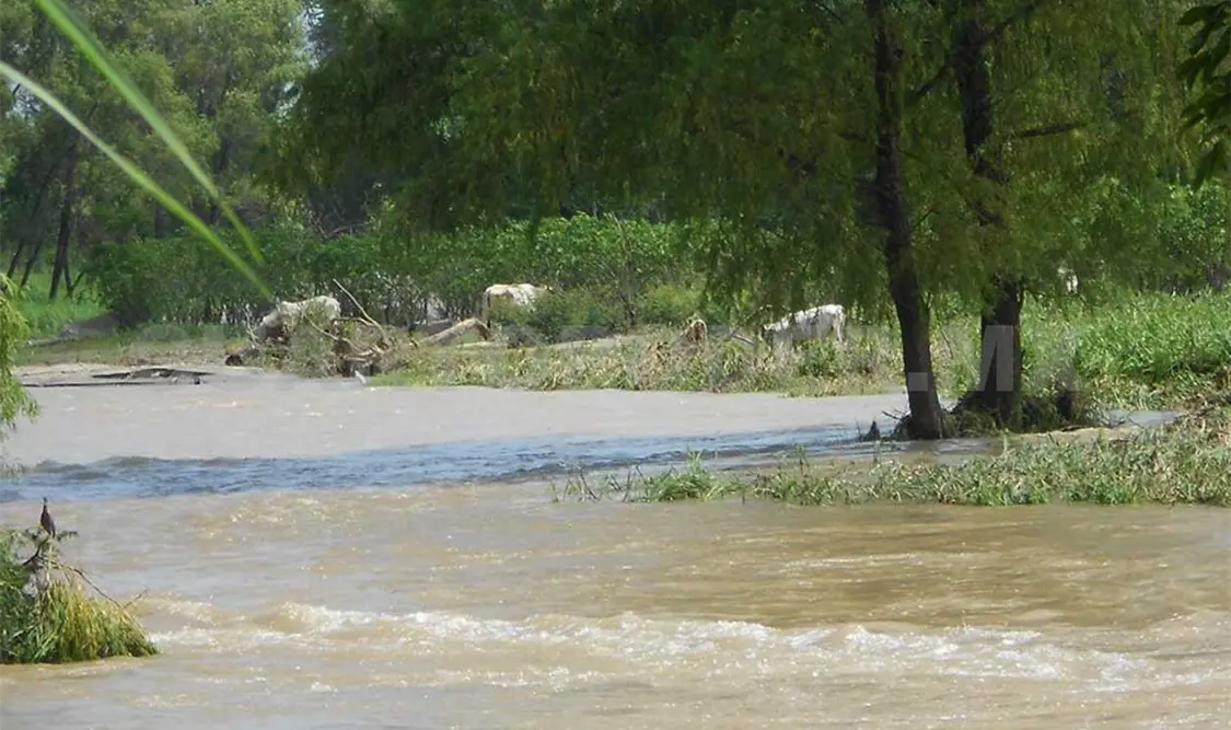 Desbordamiento de río provoca daños en cultivos