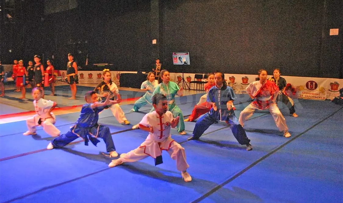 Estatal de Juegos Populares de Wushu, un éxito