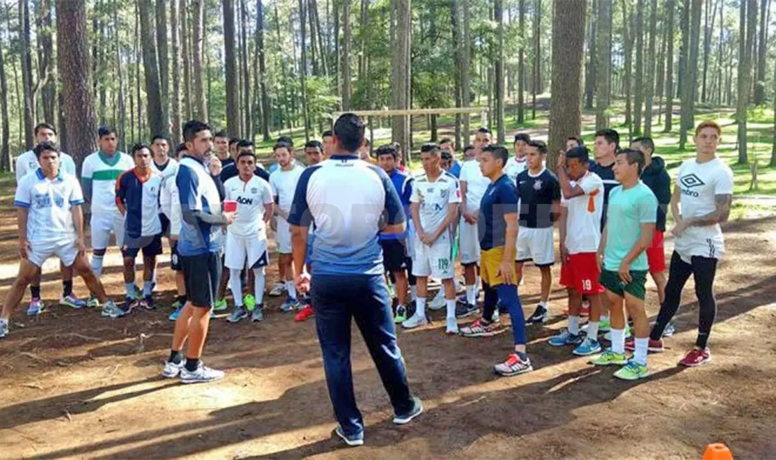Felinos con pretemporada de altura en el bosque