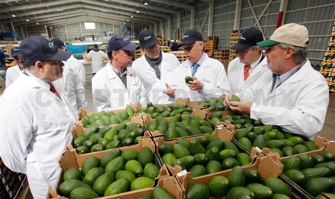 El propósito es generar y mejorar instrumentos de exportación en la producción agrícola. Agencias