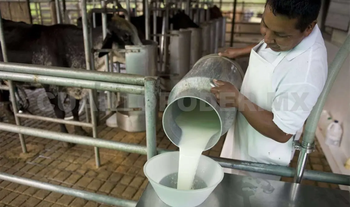 México, importante productor de leche