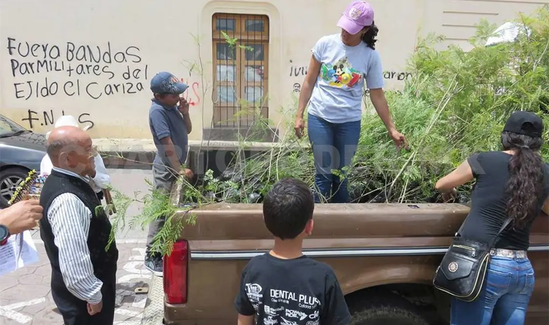 Inicia campaña Adopta una Jacaranda y sus Flores