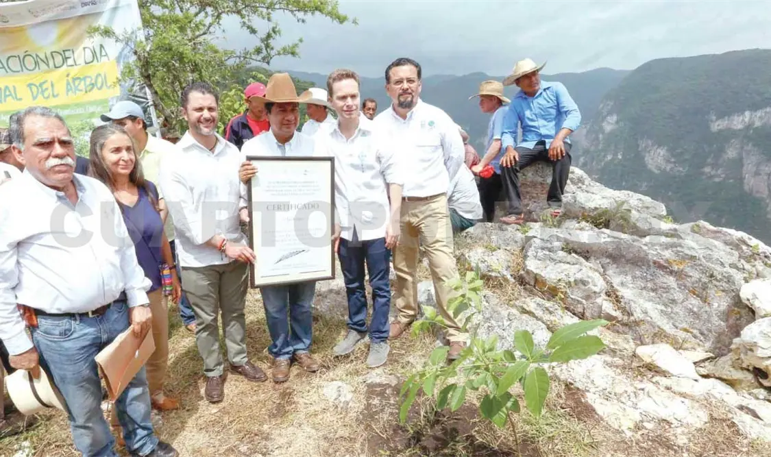 Encabeza Velasco restauración del “Árbol de Navidad”