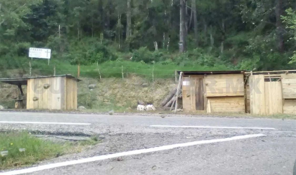 Invasores cercaron y construyeron viviendas de madera para asegurar el terreno. Cortesía
