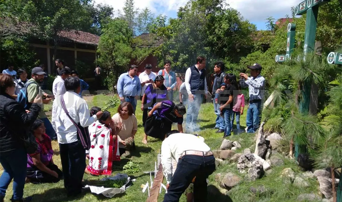 Médicos Mayas retornan a predio recuperado