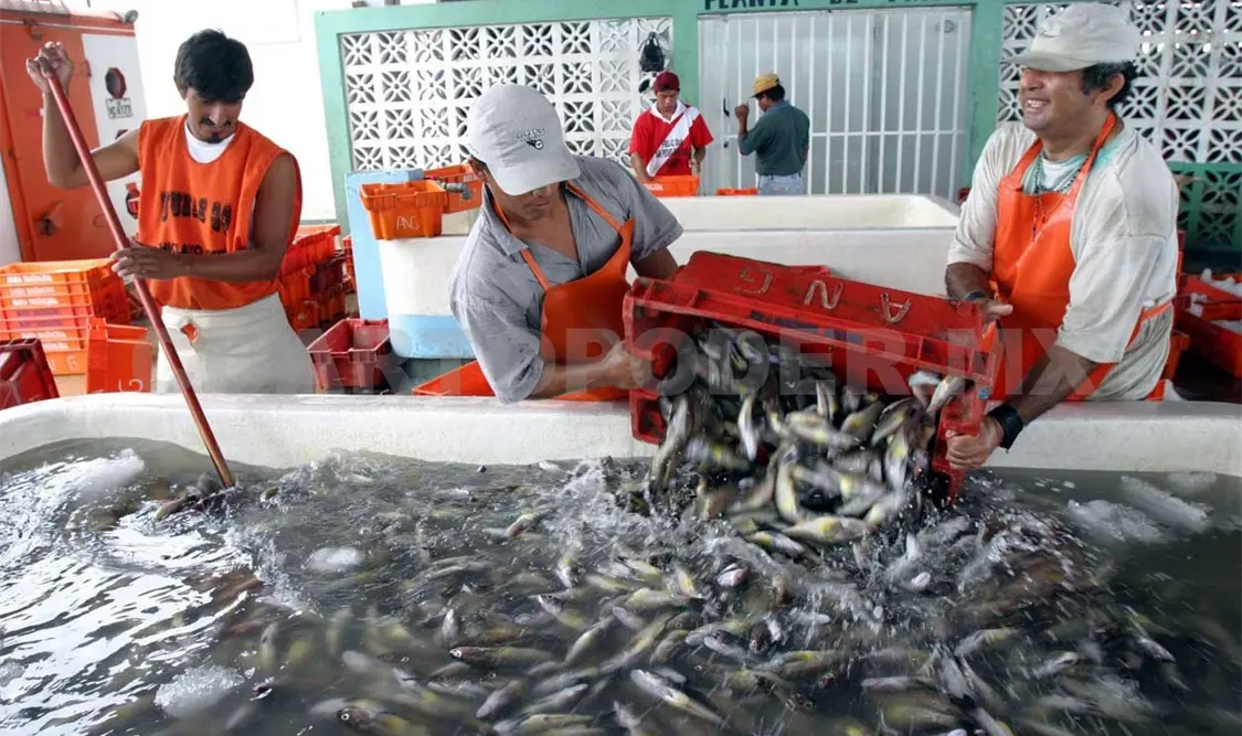 Refuerzan apoyo contra pesca ilegal