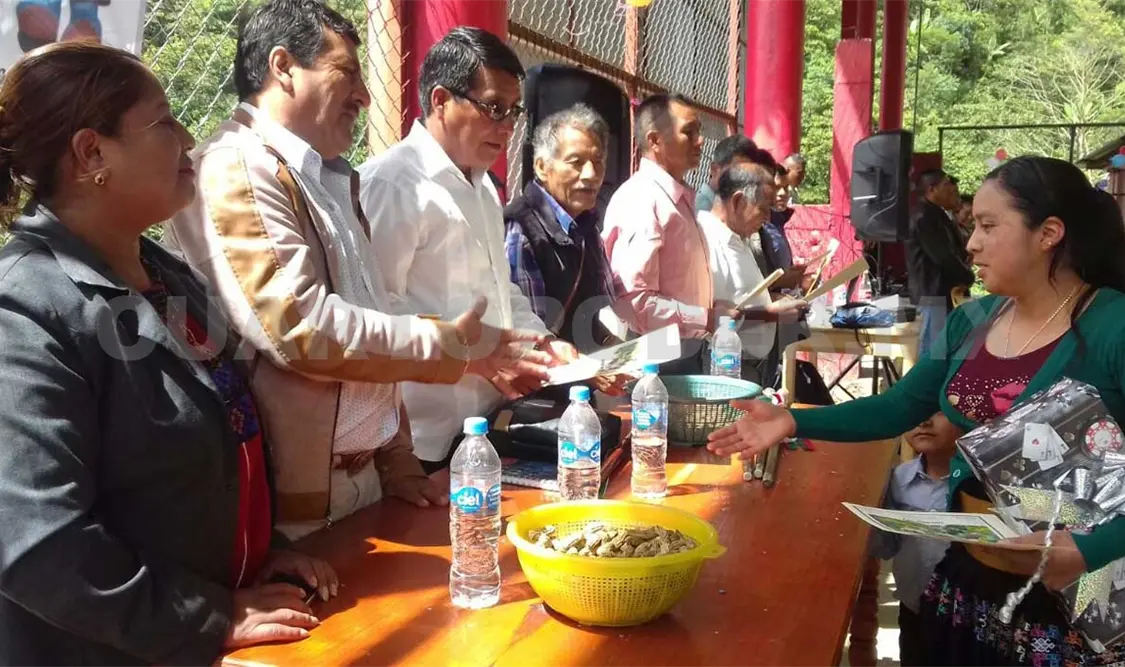 Actividades municipales y educativas en paz