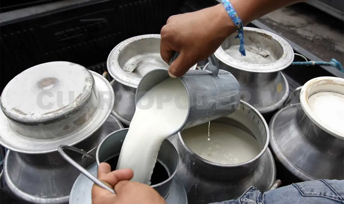 Ofrecen leche barata y de calidad