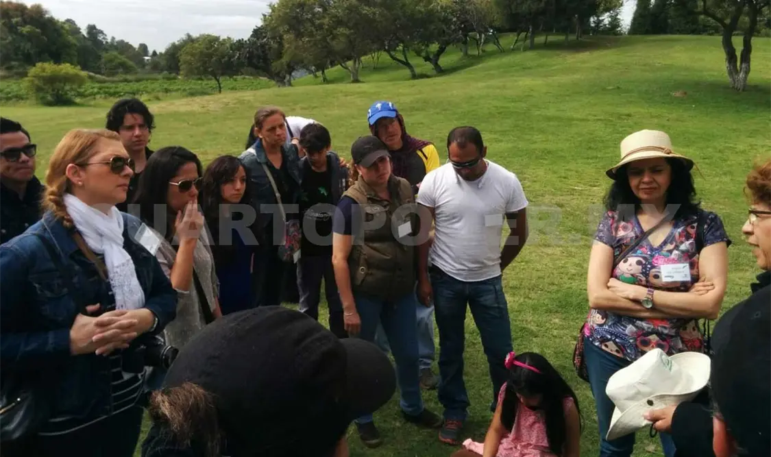 Conafor realiza obras de restauración, mejora del suelo y prevención de incendios para conservar esta especie. Agencias