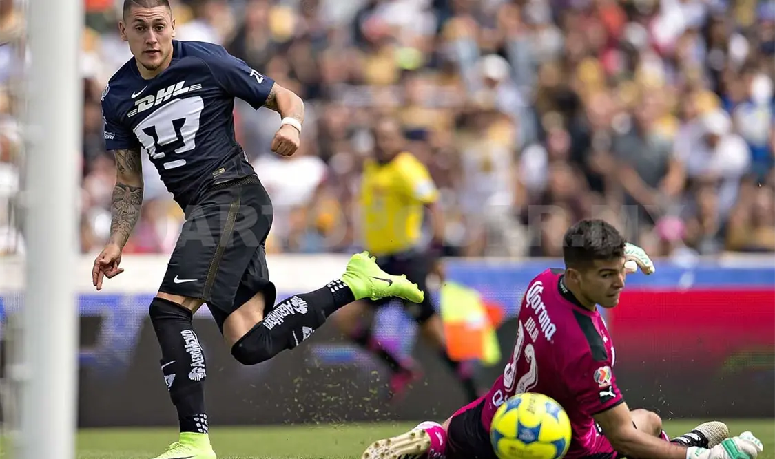 Pumas quiere iniciar con triunfo ante Pachuca