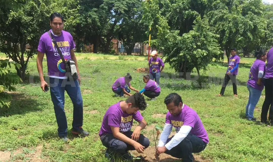 Activan plan de reforestación