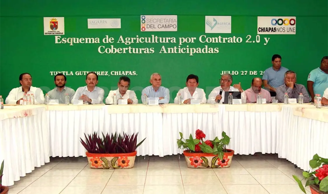 Esquema por Contrato y Coberturas Anticipadas