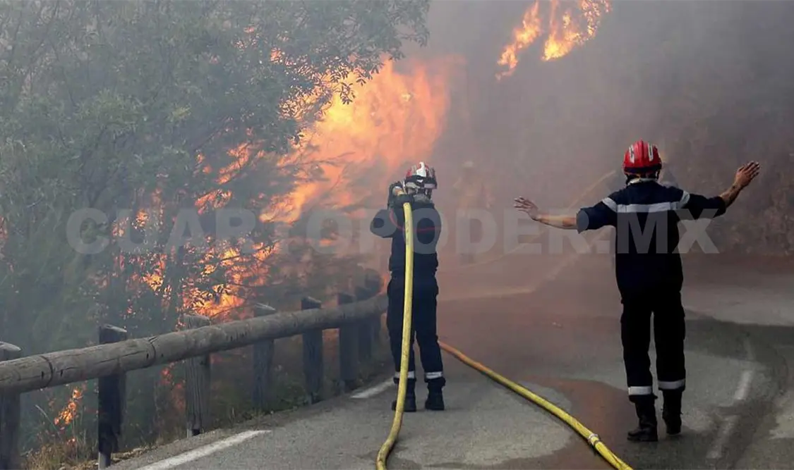 Controlan incendios forestales en Francia