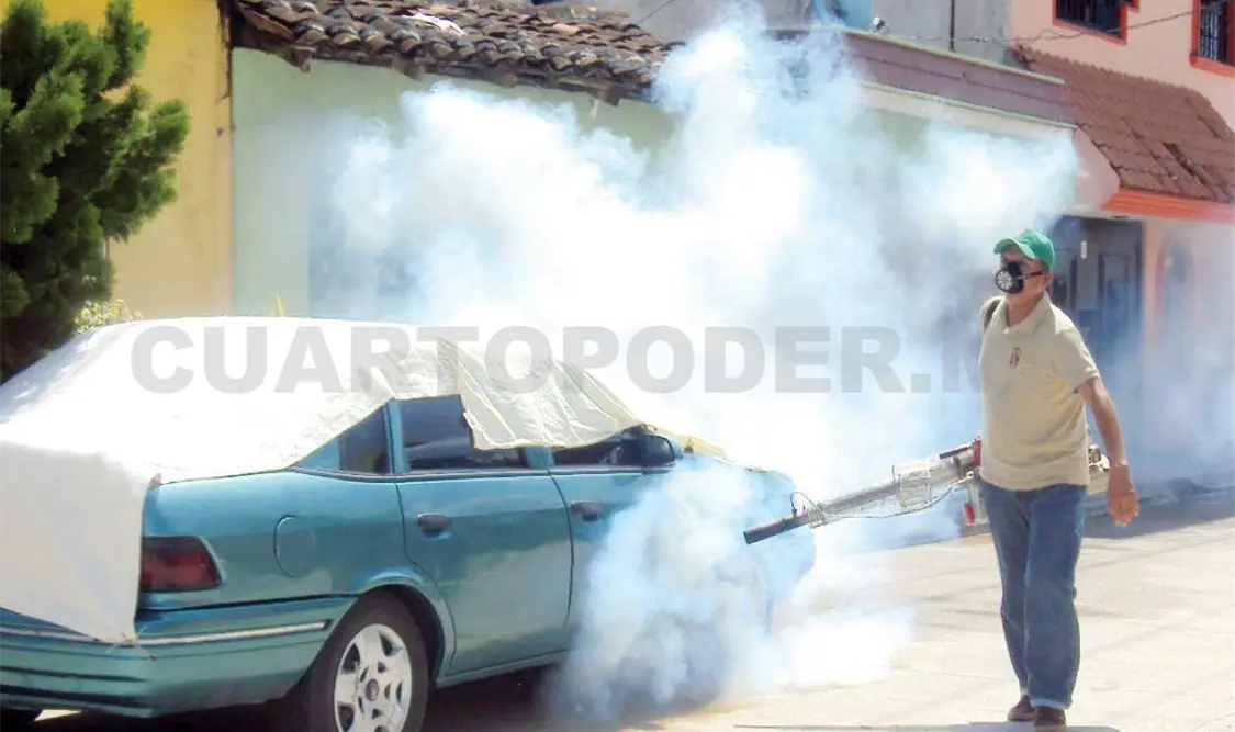 Reportan 3 muertes por dengue en Chiapas