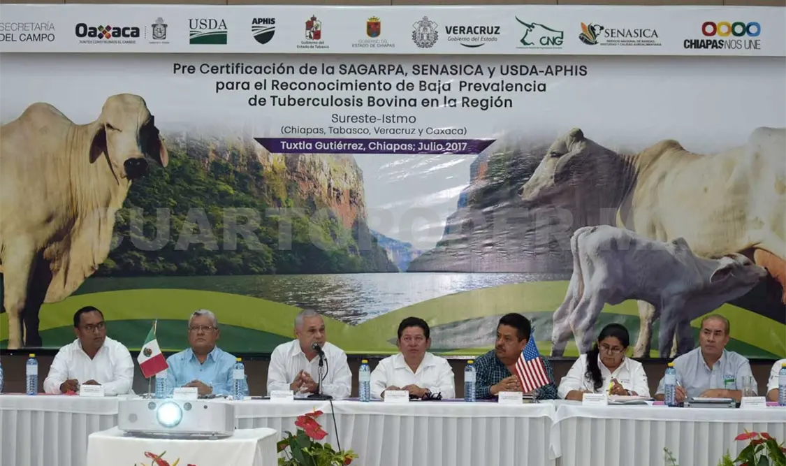 A un paso Chiapas de consolidar calidad