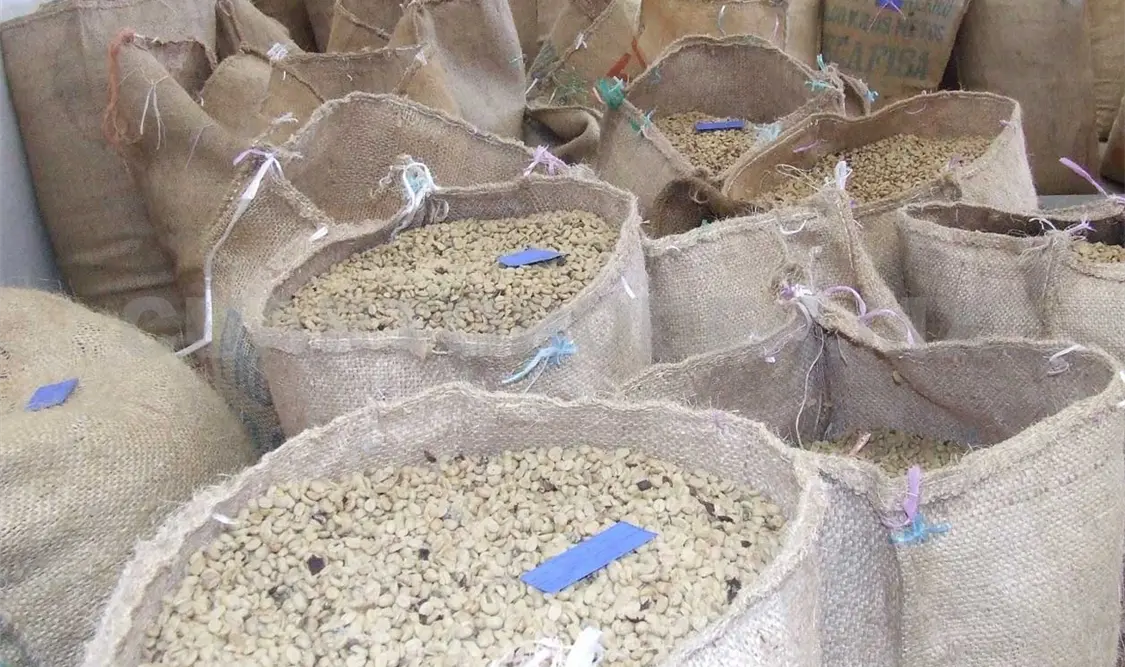 Chiapas, primer lugar en producción de café orgánico