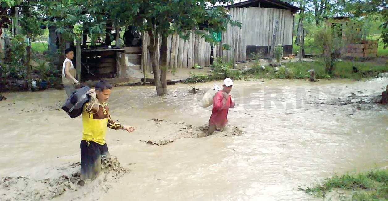 Lluvias afectan viviendas y zonas urbanas