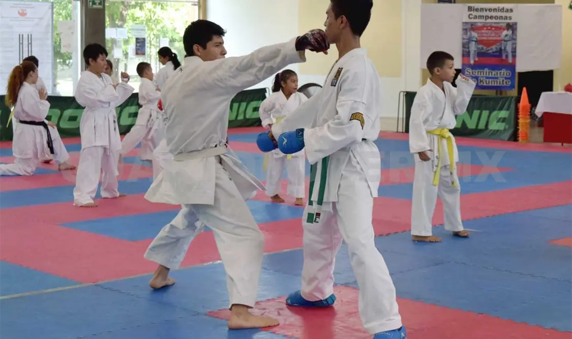 Los atletas aprendieron técnicas rectoras de la especialidad del kumite y técnicas-tácticas de combate.