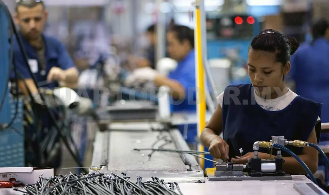 Economía crece y tiene elementos de fortaleza