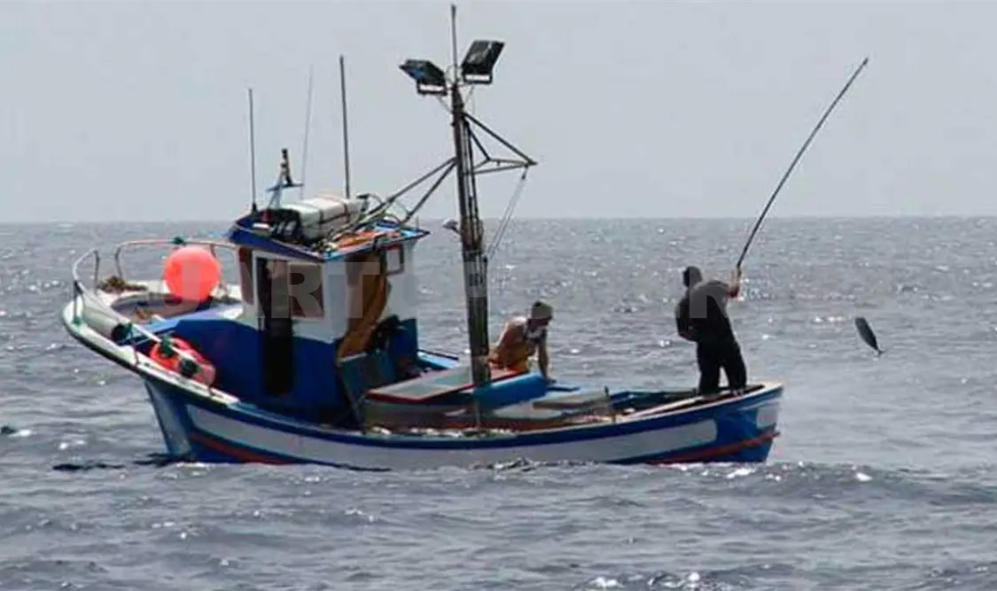 Pescadores acaban con liza, especie en veda