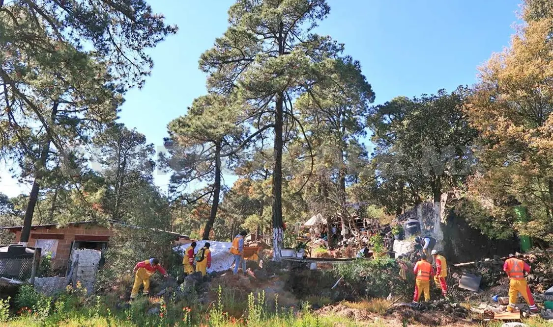 Pronatura es una organización encargada de la conservación del ambiente y promoción del desarrollo sustentable de las comunidades. Agencias