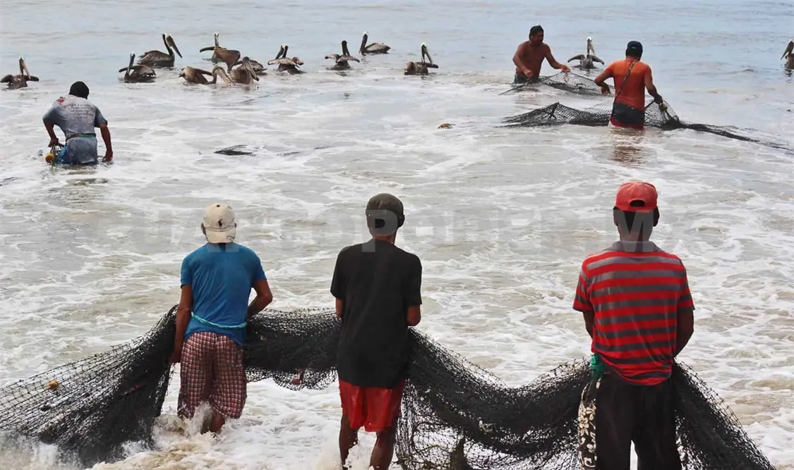 Buscan convertir a pescadores en acuacultores