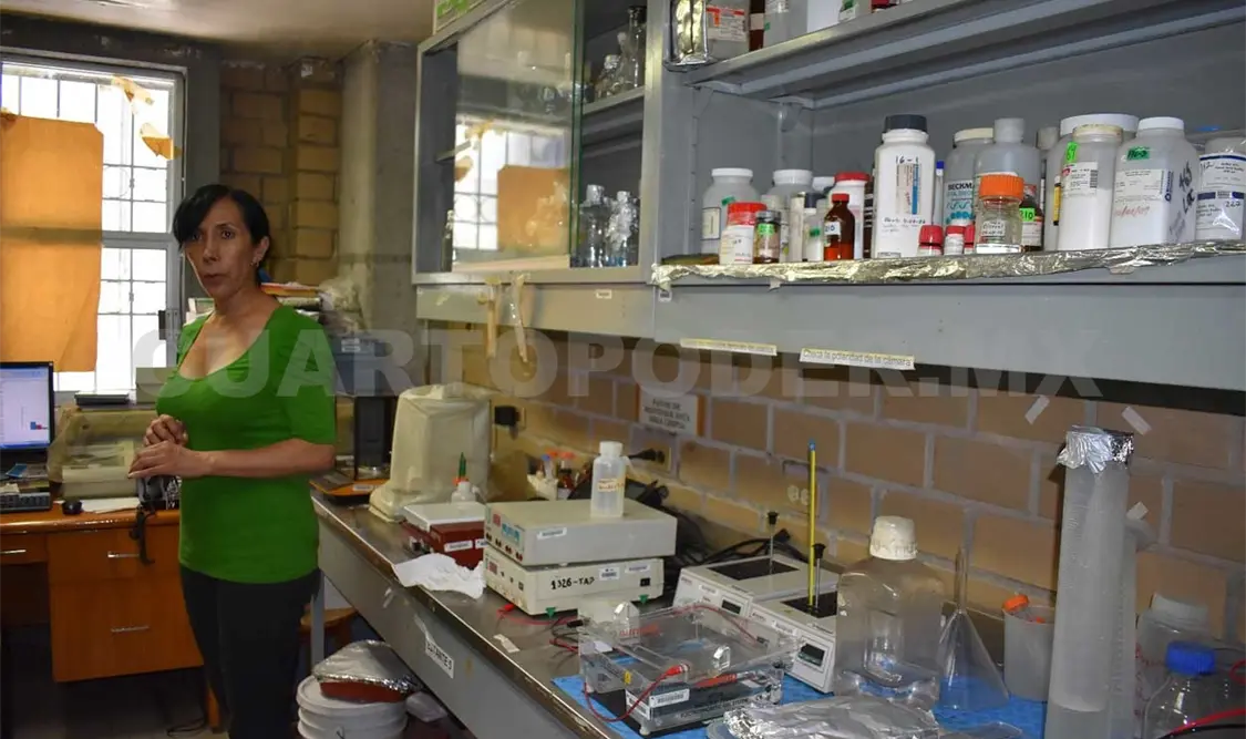 Chiapas, primer lugar de casos de paludismo en el país