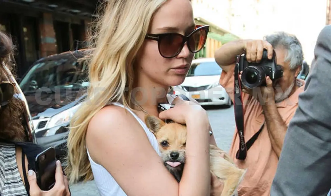 Jennifer Lawrence insulta a periodista