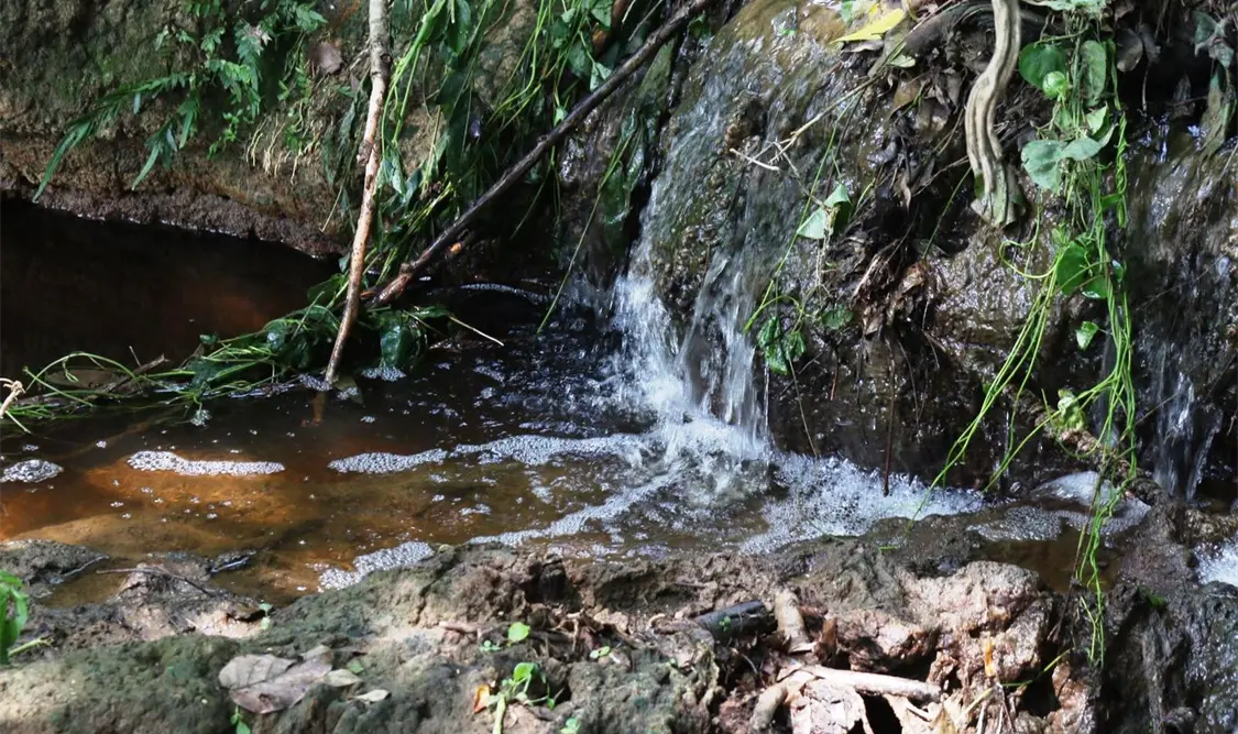 Funcionarios públicos parecen no tener interés por la contaminación que provoca Proactiva en la salud de los tuxtlecos