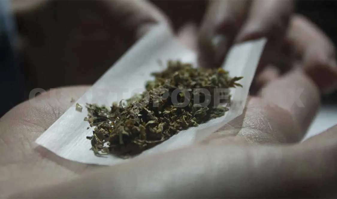 Hay alto consumo de marihuana en la entidad