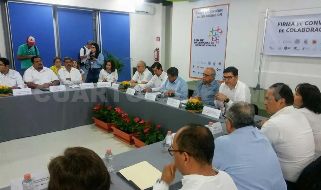 Incubadoras, generadoras de autoempleo