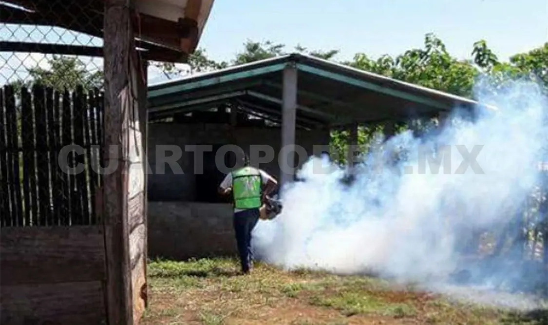 Sanean comunidad ante casos de dengue