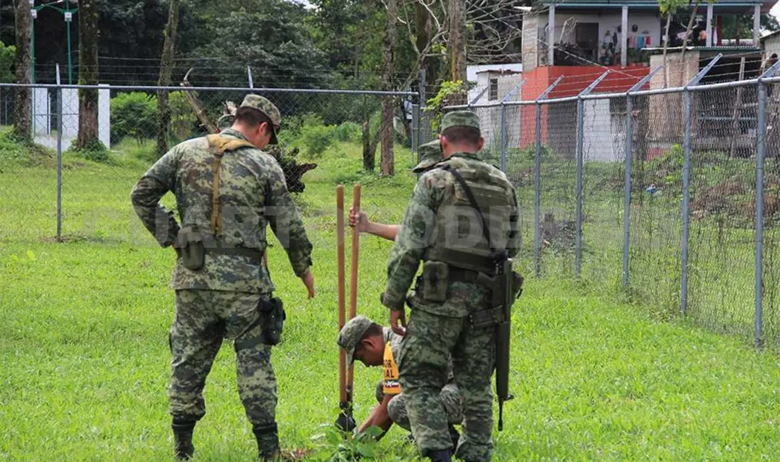 Apoya Sedena acciones de reforestación