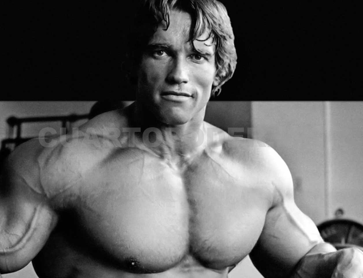 El día que Arnold Schwarzenegger filmó desnudo