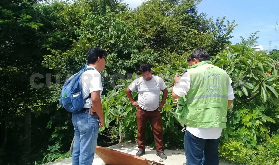 Bacteria de cólera no pone en riesgo salud de la población